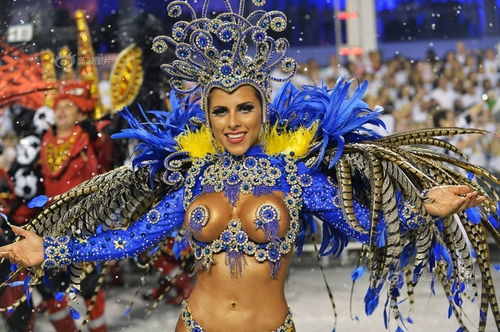 巴西狂欢节有什么意